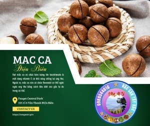 Mắc Ca Điện Biên - Loại Hạt rất tốt cho sức khoẻ