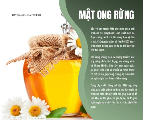 Mật Ong Rừng Có Tác Dụng Gì Với Sức Khoẻ