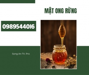 Mật Ong Rừng Có Tác Dụng Gì Với Sức Khoẻ